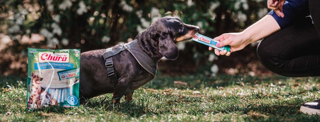 Nuestra misión en INABA Chile
