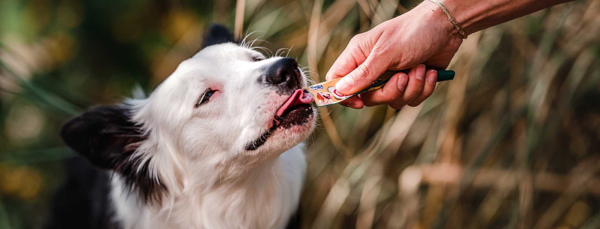 snacks súper premium para mascotas
