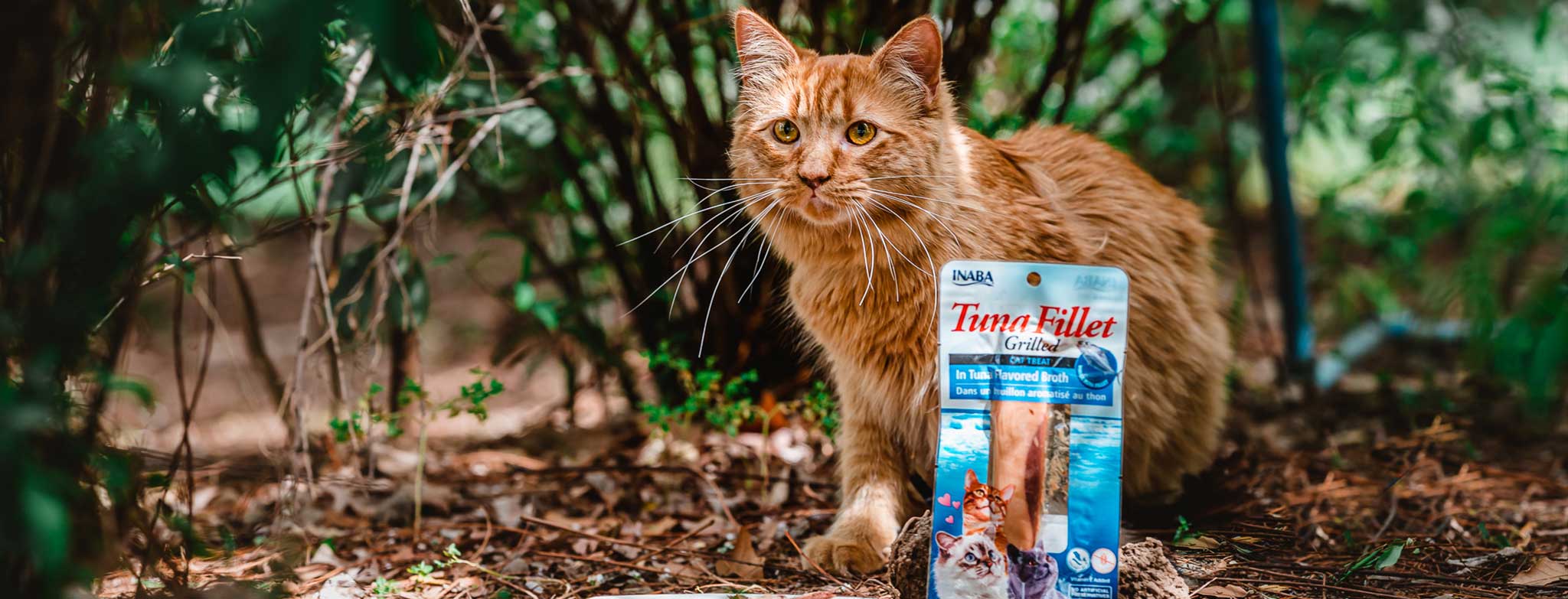 vender snacks súper premium para mascotas