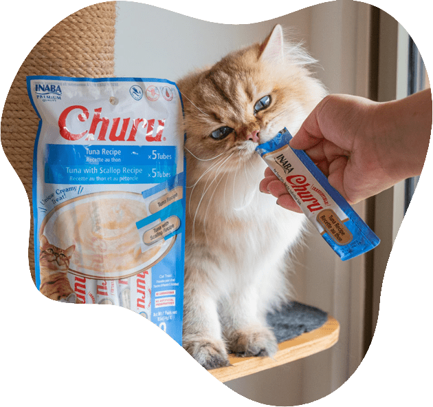 Gato disfrutando Churu INABA sabor atún, snack cremoso de calidad premium.