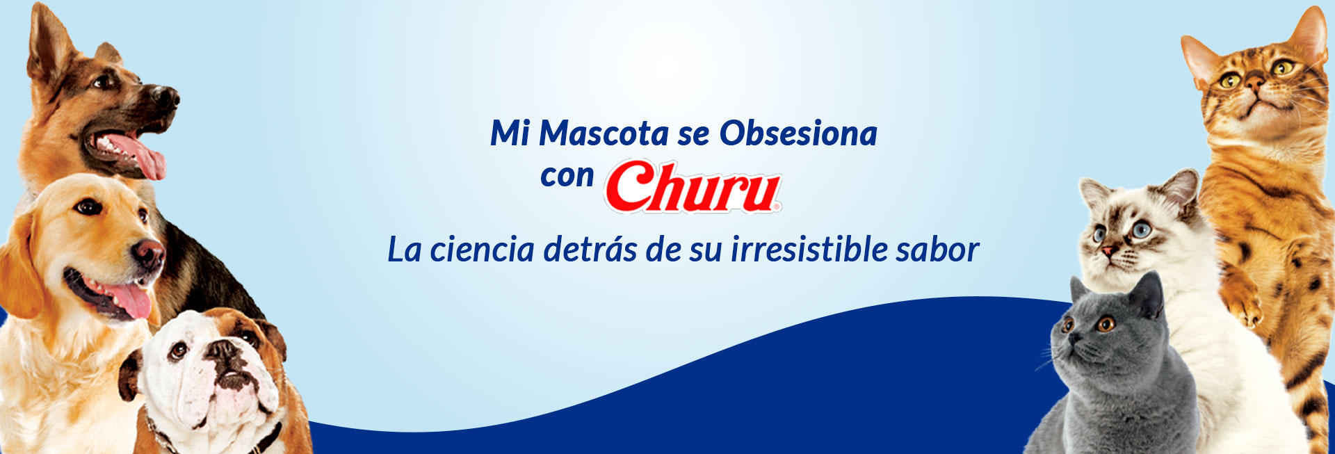 Perros y gatos disfrutando Churu, el snack saludable y cremoso de INABA que fortalece el vínculo con las mascotas.