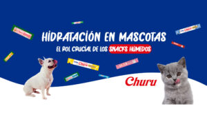 snacks húmedos para mascotas