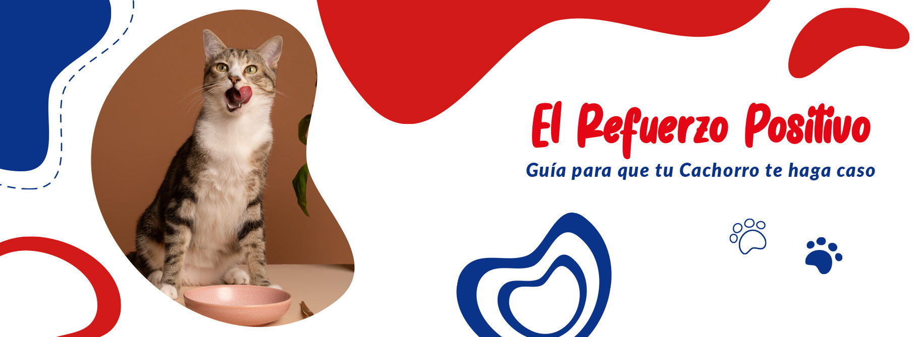 cachorro aprendiendo con refuerzo positivo y premio en entrenamiento