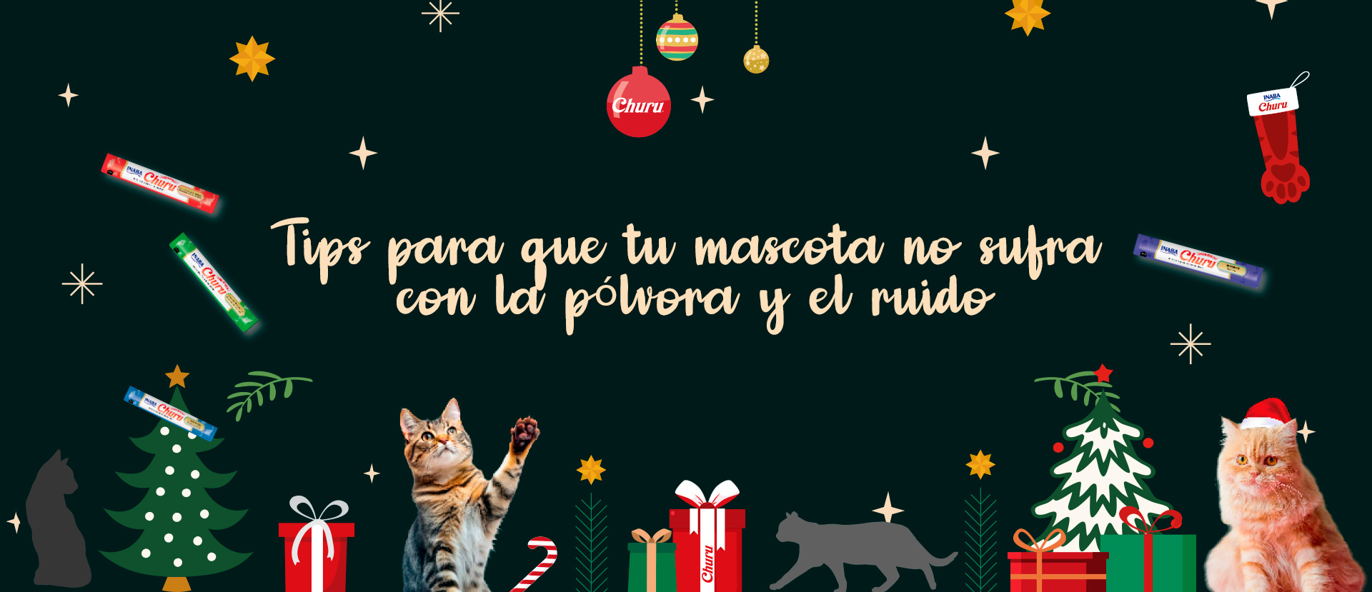 pólvora y los ruidos fuertes en mascotas